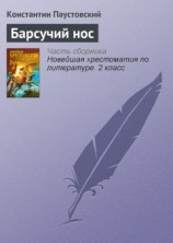 читать Барсучий нос