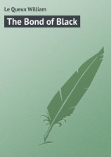 читать The Bond of Black