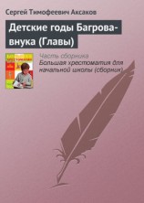 читать Детские годы Багрова внука (Главы)