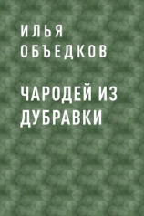 читать Чародей из Дубравки