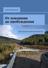 читать От покаяния до пробуждения. Курс введения в живое христианство