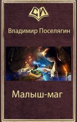 читать Малыш маг