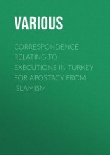 читать Correspondence Relating to Executions in Turkey for Apostacy from Islamism