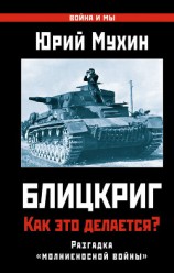 читать Жертвы Блицкрига. Как избежать трагедии 1941 года?